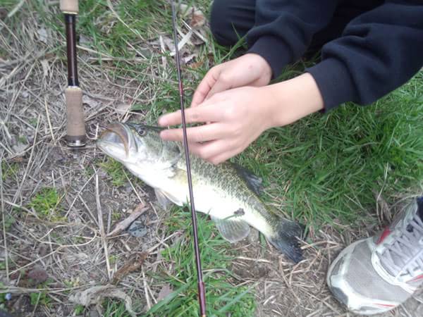 琵琶湖 おかっぱり 釣果