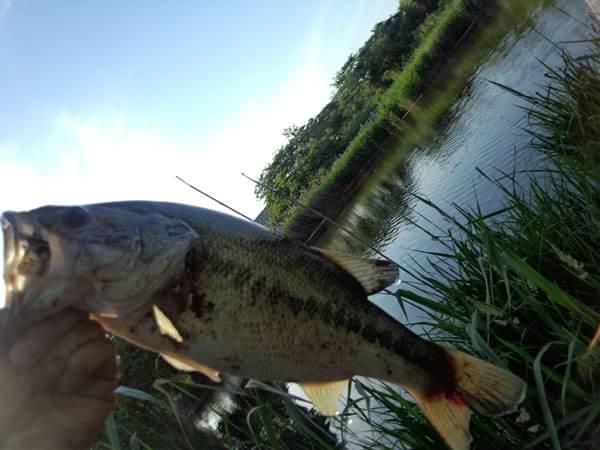 琵琶湖 おかっぱり 釣果