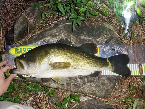 バス釣り 琵琶湖