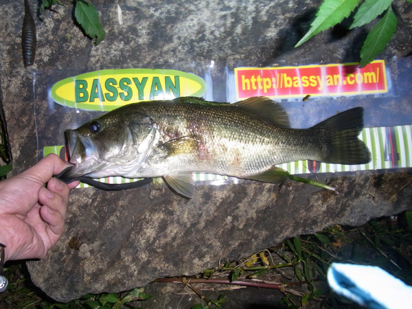 バス釣り 琵琶湖