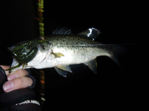 バス釣り 琵琶湖