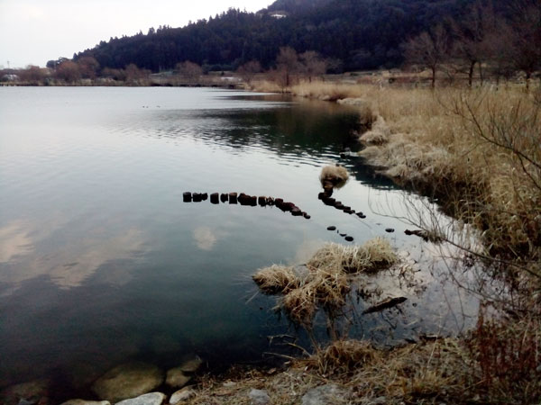 バス釣り 琵琶湖 乙女が池