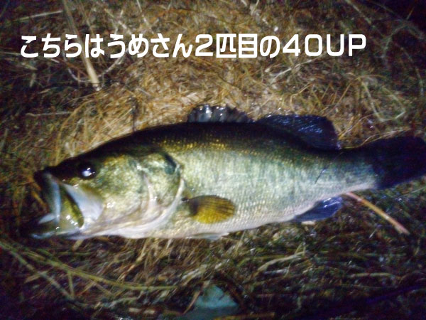 バス釣り 琵琶湖