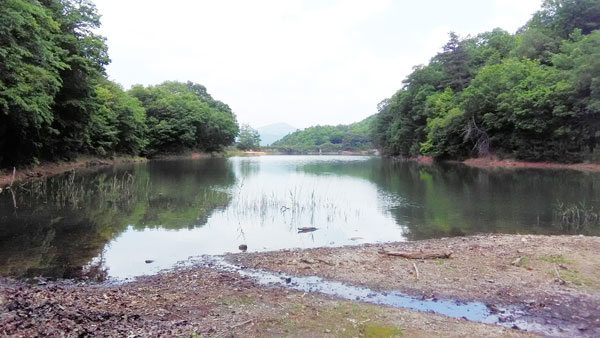 バス釣り 中山池