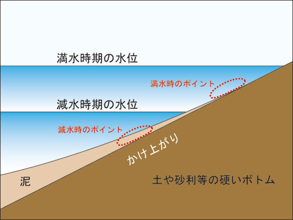 バス釣り 琵琶湖