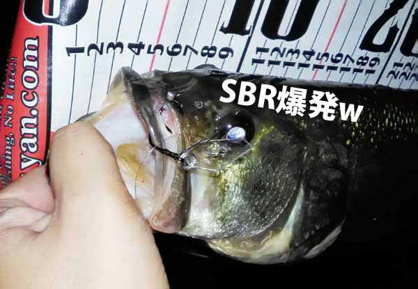 バス釣り 琵琶湖