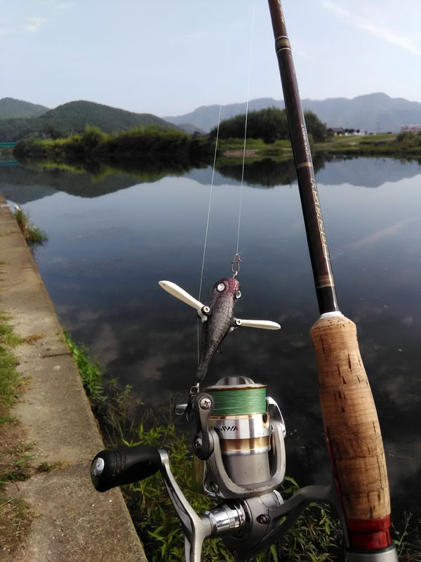 バス釣り 琵琶湖