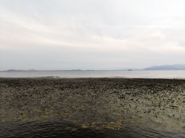 バス釣り 琵琶湖