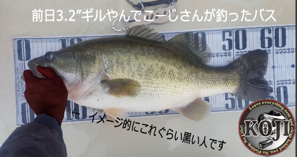 バス釣り 琵琶湖