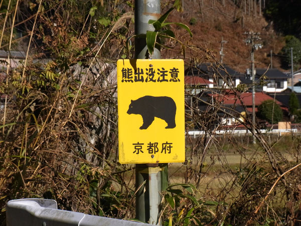 バス釣り 琵琶湖