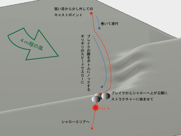 バス釣り 琵琶湖