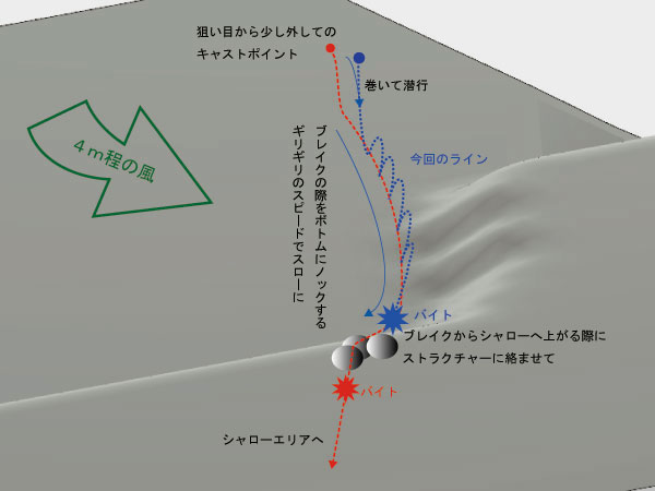 バス釣り 琵琶湖