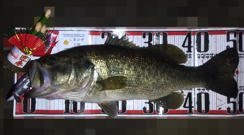 琵琶湖バス釣りうめピン釣果の写真