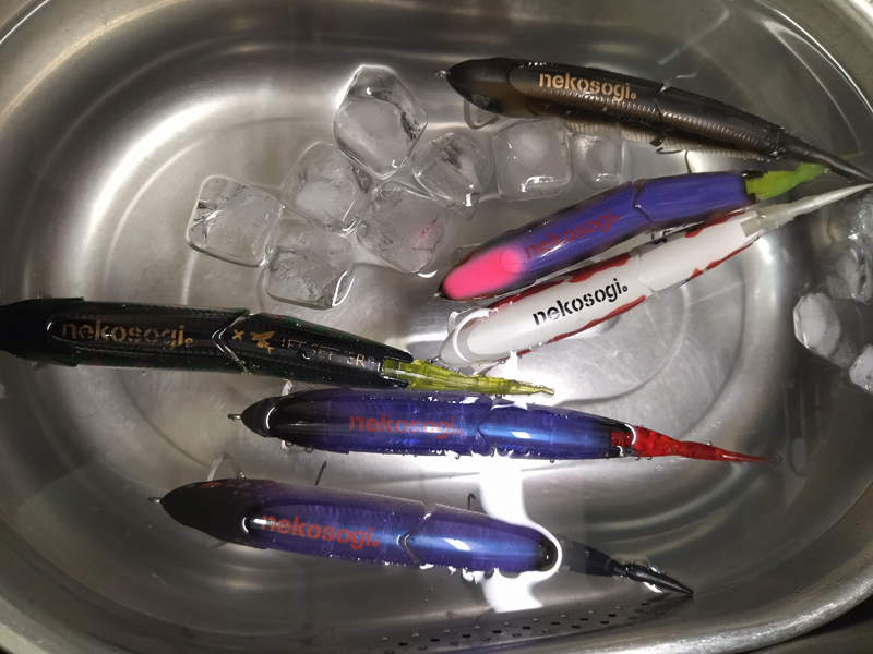 琵琶湖バス釣り釣果情報