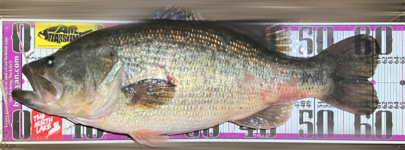 琵琶湖バス釣り釣果