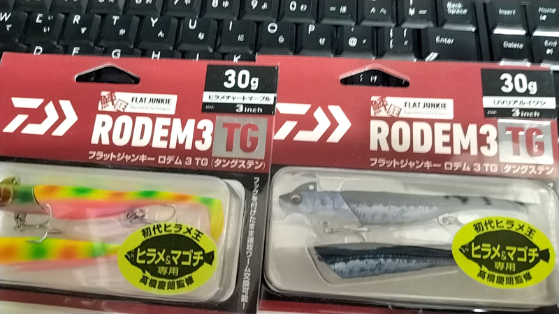 烏賊釣り エギング おかっぱり釣果 日本海若狭湾