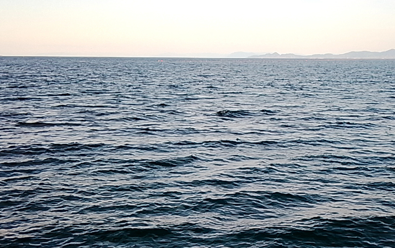 烏賊釣り エギング おかっぱり釣果 日本海若狭湾