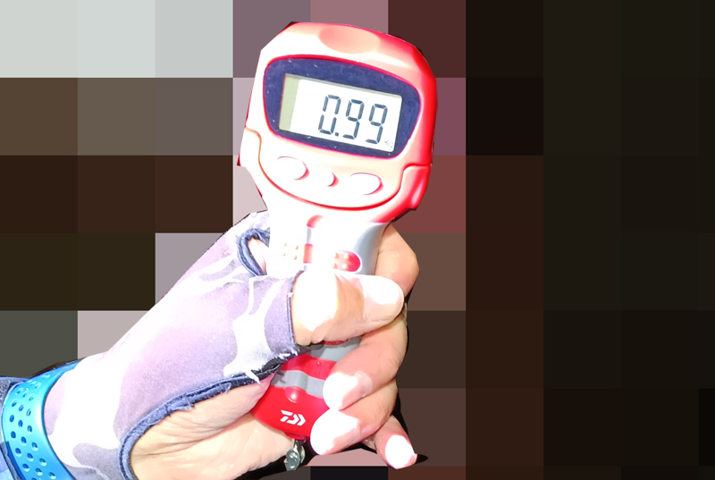 烏賊釣り エギング おかっぱり釣果 日本海若狭湾