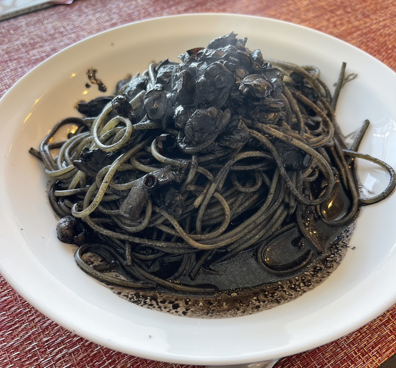 烏賊釣り エギング おかっぱり釣果 日本海若狭湾