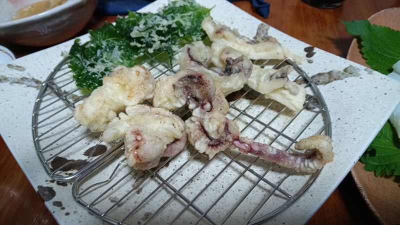 烏賊釣り エギング おかっぱり釣果 日本海若狭湾