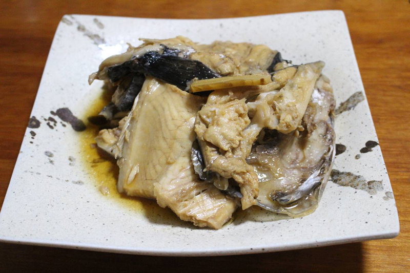 若狭湾 青物チャレンジ