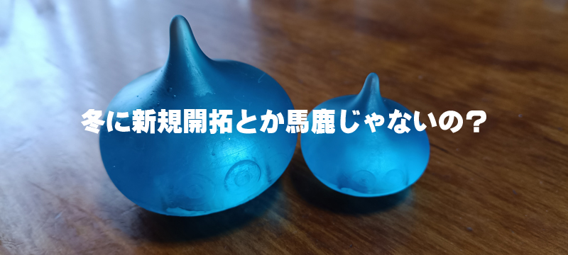 琵琶湖バス釣り釣果情報