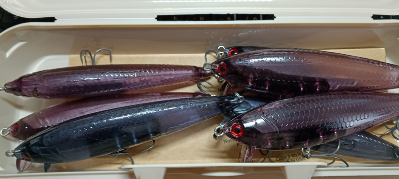 琵琶湖バス釣り釣果情報