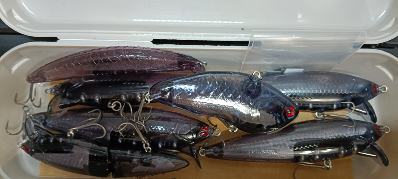 琵琶湖バス釣り釣果情報