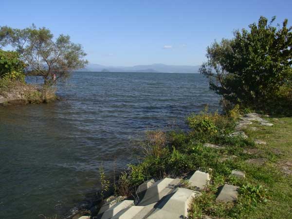 安曇川浜園地の水路のおかっぱりポイント