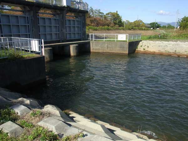 安曇川浜園地の水路水門のポイント