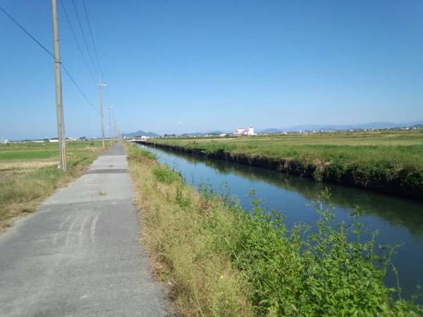 赤野井排水機場水路の水路ポイントが続く