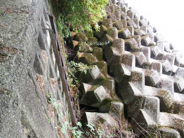 赤崎丸子船 バス釣り おかっぱりポイント