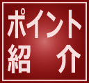 琵琶湖 バス釣り おかっぱりポイント