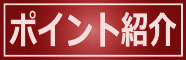 琵琶湖 バス釣り ポイント