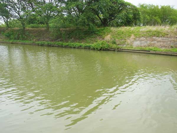 丁野木川 バス釣り おかっぱりポイント