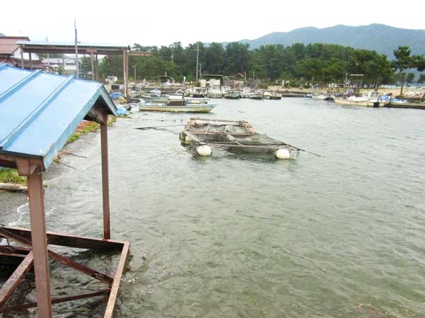 知内漁港 バス釣り おかっぱりポイント