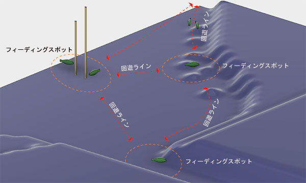 バス釣り フィーディング スポット エリア