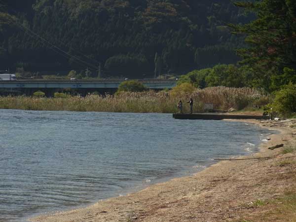 萩の浜南側の葦地区のポイント