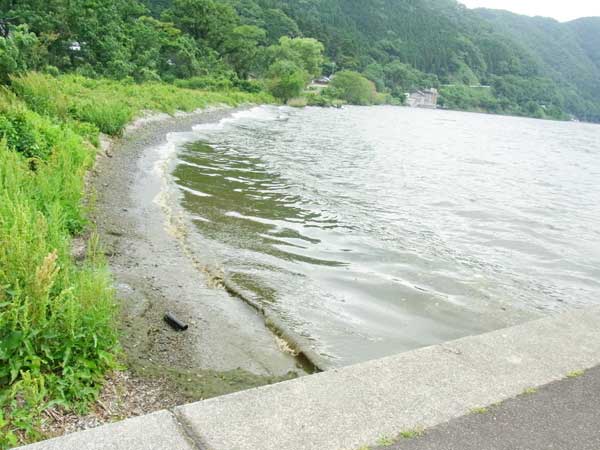 飯浦港 バス釣り おかっぱりポイント