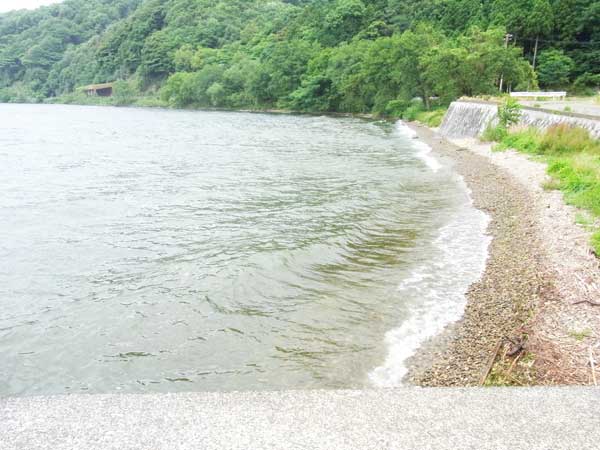 飯浦港 バス釣り おかっぱりポイント