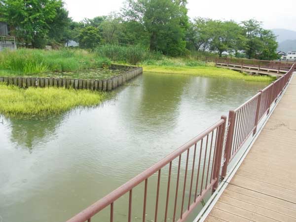 蓮原農村公園池 バス釣り おかっぱりポイント