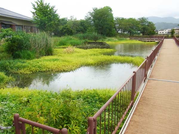 蓮原農村公園池 バス釣り おかっぱりポイント