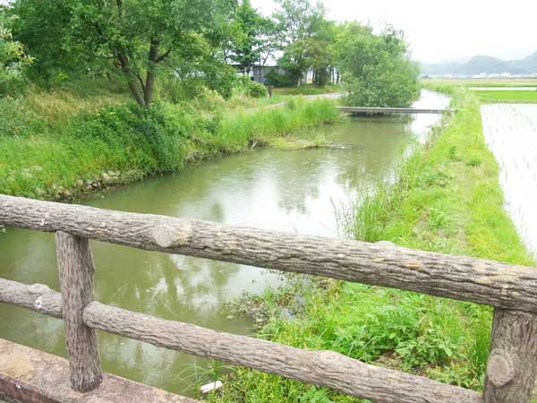 蓮原農村公園池 バス釣り おかっぱりポイント