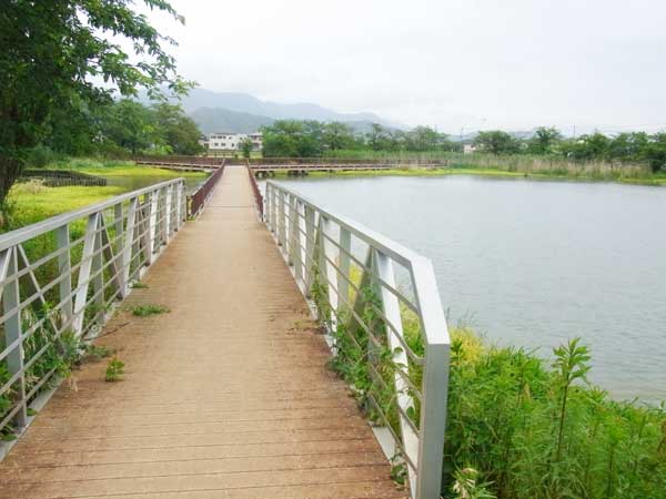 蓮原農村公園池 バス釣り おかっぱりポイント