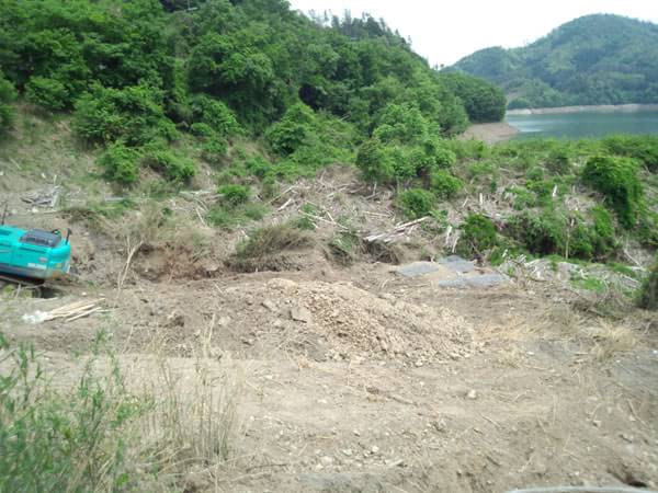 日吉ダム(小倉谷)の台風後のおかっぱりポイント
