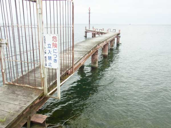 豊公園 バス釣り おかっぱりポイント