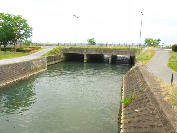 豊公園 バス釣り おかっぱりポイント