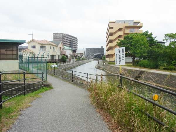 豊公園 バス釣り おかっぱりポイント