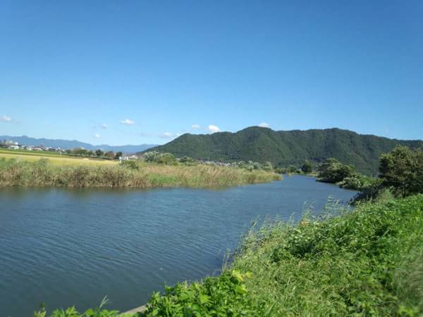 伊庭内湖水路のおかっぱりポイント