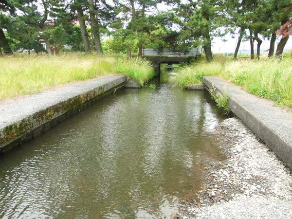 今津町北仰 バス釣り おかっぱりポイント